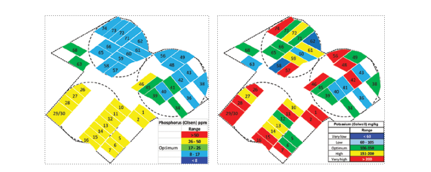 Figure 3. An example of how soil nutrient levels (potassium on the left; phosphorus on the right) can vary both between nutrients and between paddocks on the same farm.