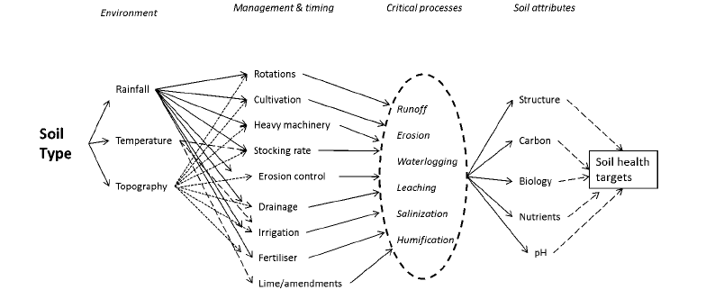 Figure 1. Influences on soil health