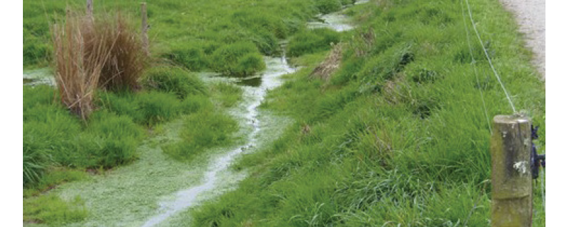 Figure 10. Artificial drainage provides strong connectedness of the landscape to the river systems resulting in a  build-up in nutrients in waterways.