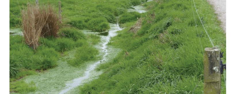 Figure 10. Artificial drainage provides strong connectedness of the landscape to the river systems resulting in a build-up in nutrients in waterways.